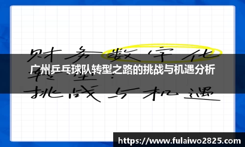 广州乒乓球队转型之路的挑战与机遇分析