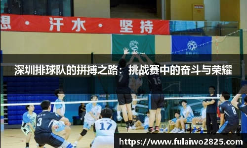 深圳排球队的拼搏之路：挑战赛中的奋斗与荣耀